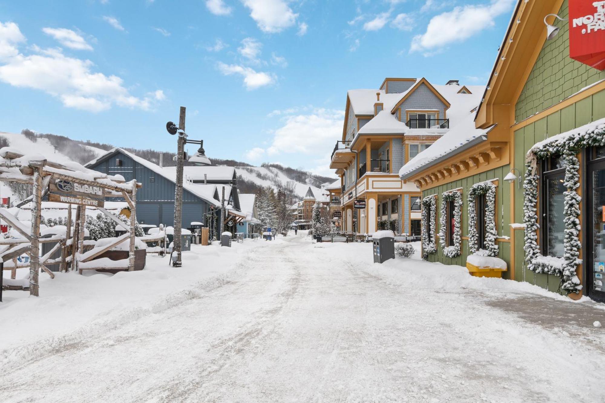 Lovely 3 Bedroom Wintergreen Retreat W Sauna บลูเมาเทนส์ ภายนอก รูปภาพ